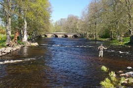 Fishing in Sweden